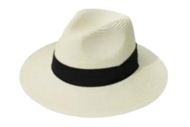 straw-hat-8.png